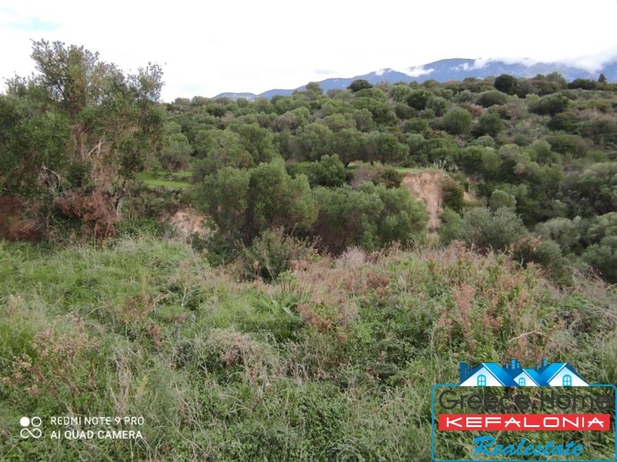 (For Sale) Land Agricultural Land  || Kefalonia/Leivatho - 2.004 Sq.m, 60.000€ 