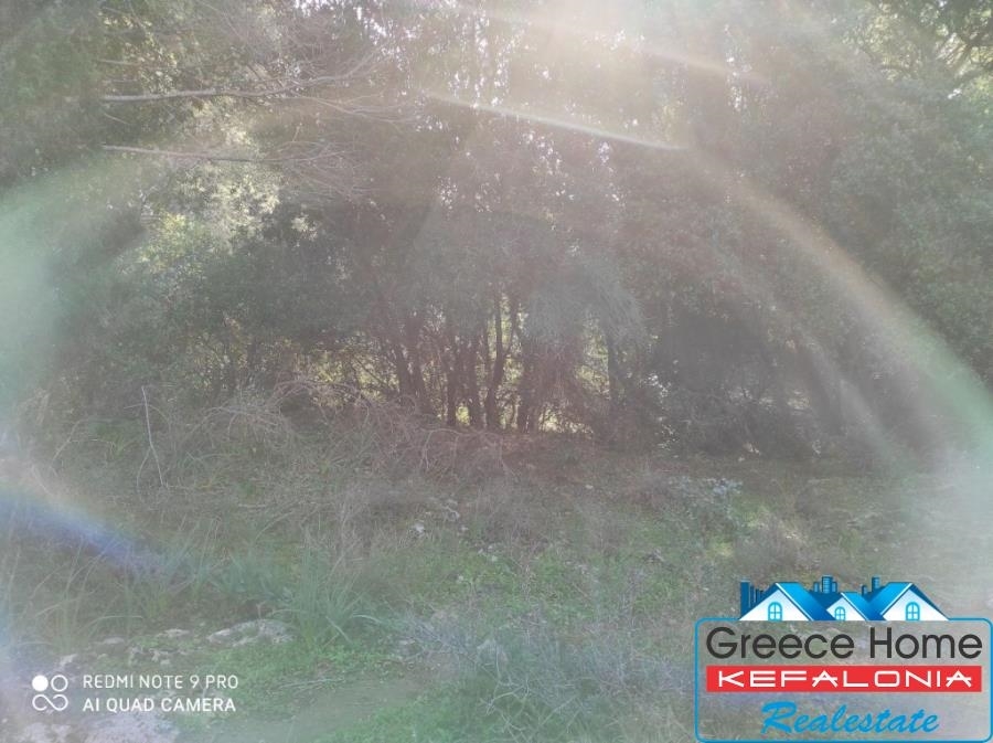 (For Sale) Land Agricultural Land  || Kefalonia/Leivatho - 2.700 Sq.m, 60.000€ 