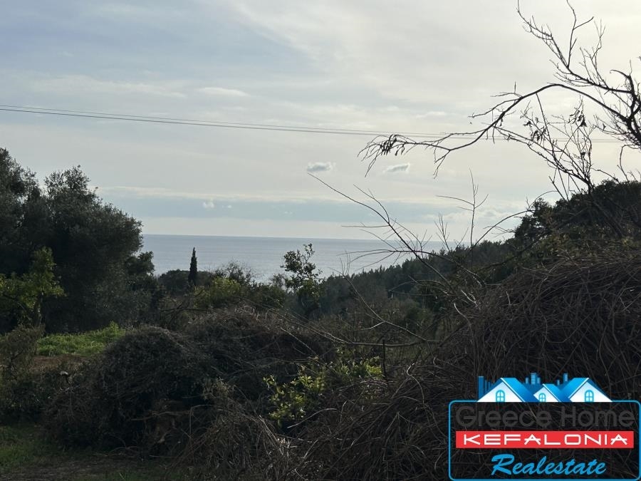 (Προς Πώληση) Αξιοποιήσιμη Γη Οικόπεδο || Ν. Κεφαλονιάς/Λειβαθώ - 3.000 τ.μ, 130.000€ 