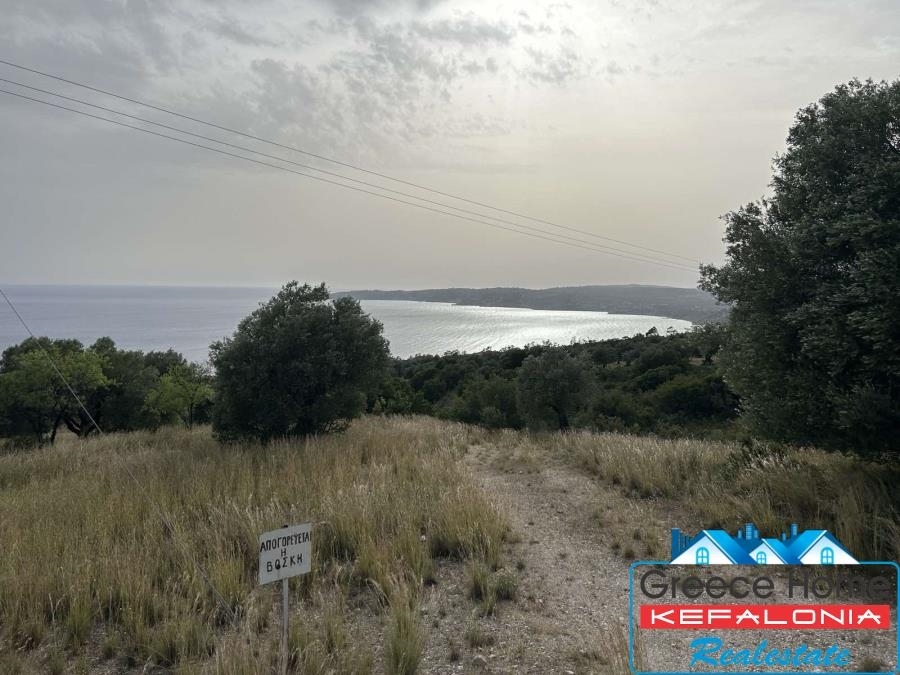 (For Sale) Land Agricultural Land  || Kefalonia/Leivatho - 1.100 Sq.m, 52.000€ 