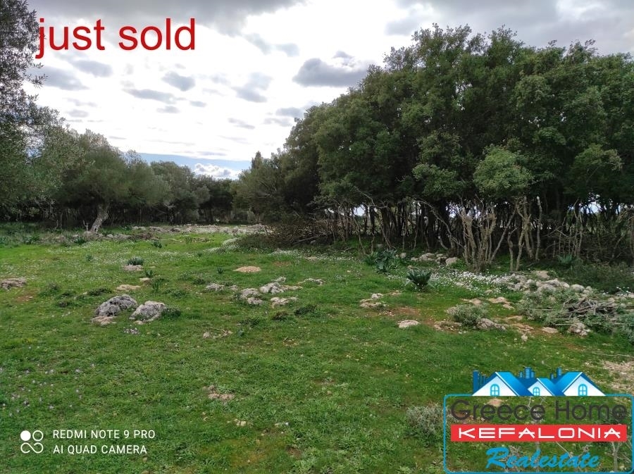 (For Sale) Land Agricultural Land  || Ileias/Vouprasia - 5.000 Sq.m, 30.000€ 