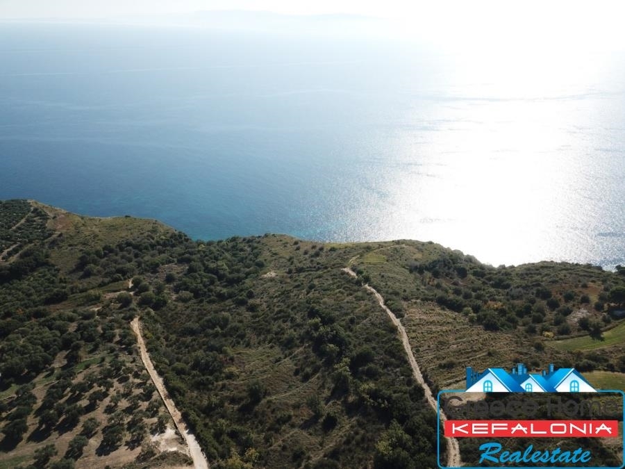 (For Sale) Land Agricultural Land  || Kefalonia/Eleios - Pronni - 7.812 Sq.m, 300.000€ 