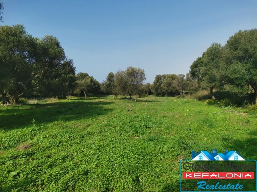 (For Sale) Land Agricultural Land  || Kefalonia/Argostoli - 4.011 Sq.m, 120.000€ 