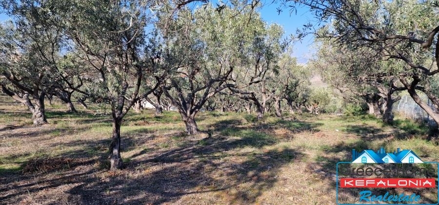 (Προς Πώληση) Αξιοποιήσιμη Γη Αγροτεμάχιο || Ν. Κεφαλονιάς/Ελειός - Πρόννοι - 4.251 τ.μ, 120.000€ 